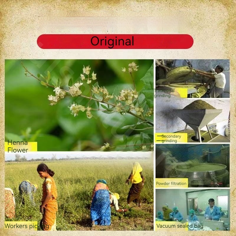 Natural Pure Plant Henna Powde - Indigo Dye Kit ulasan dan harga