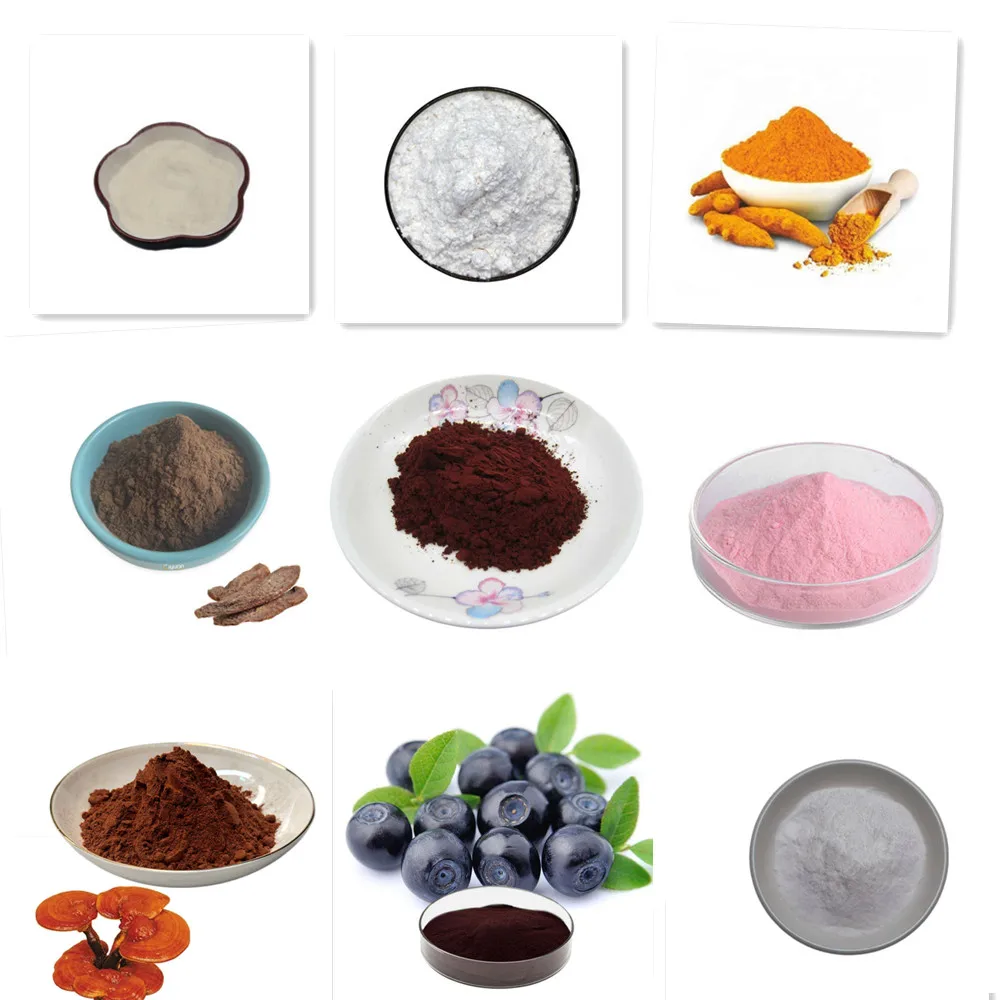 Free Shipping Natural Organic  - Indigo Dye Kit ulasan dan harga